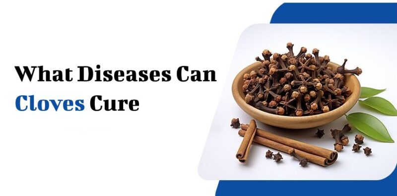 What Diseases Can Cloves Cure - Totaldentalcaretips